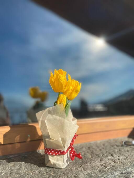 Chalet La Terrazza Vista Lago Bellano Εξωτερικό φωτογραφία